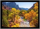 Park Narodowy Zion, Góry Watchman, Rzeka Virgin River, Kamienie, Drzewa, Jesień, Stan Utah, Stany Zjednoczone