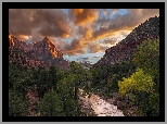 Stany Zjednoczone, Stan Utah, Park Narodowy Zion, Góry, Góra Watchman, Rzeka, Virgin River, Drzewa