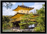 Świątynia, Kinkaku-ji, Złoty Pawilon, Staw, Kyko chi, Drzewa, Kioto, Japonia