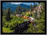 Góry, San Juan Mountains, Las, Drzewa, Pociąg, Stan Kolorado, Stany Zjednoczone