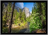 Park Narodowy Yosemite, Góra, El Capitan, Rzeka, Merced River, Drzewa, Krzewy, Stany Zjednoczone, Kalifornia