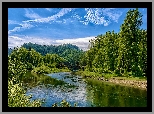 Stany Zjednoczone, Idaho, Rzeka, St Joe River, Most, Railroad Bridge, Drzewa