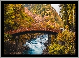 Rzeka, Daiya River, Most, Shinkyo Bridge, Góry, Drzewa, Jesień, Nikko, Japonia