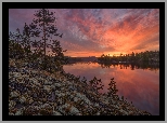 Zachód słońca, Jezioro, Ładoga, Kamienie, Drzewa, Karelia, Rosja