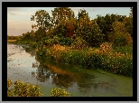 Jezioro, Prairie Rose Lake, Drzewa, Krzewy, Rośliny, Stan Iowa, Stany Zjednoczone