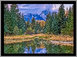 Park Narodowy Grand Teton, Góry Skaliste, Drzewa, Rzeka, Snake River, Chmury, Stan Wyoming, Stany Zjednoczone