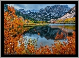 Stany Zjednoczone, Kalifornia, Sierra Nevada Mountains, Góry, Jezioro, Drzewa, Liście, Gałęzie, Chmury, Jesień