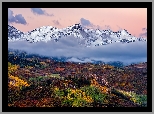 Jesień, Stany Zjednoczone, Kolorado, Szczyt, Mount Sneffels, Góry Skaliste, Lasy, Pożółkłe, Drzewa, Mgła, Chmury