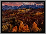 Stany Zjednoczone, Kolorado, San Juan Mountains, Dallas Divide, Jesień, Drzewa, Las, Góry, Wzgórza, Niebo, Chmury, Zachód słońca