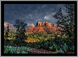 Stany Zjednoczone, Arizona, Sedona, Skały, Cathedral Rock, Drzewa, Chmury, Kaktusy