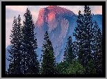 Stany Zjednoczone, Kalifornia, Park Narodowy Yosemite, Góra, Half Dome, Drzewa