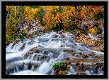 Stany Zjednoczone, Arizona, Strawberry, Fossil Creek, Rzeka, Jesień, Drzewa, Skały