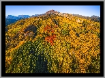 Stany Zjednoczone, Kolorado, Przełęcz, Kebler Pass, Góry, Las, Drzewa, Jesień