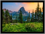 Stany Zjednoczone, Montana, Park Narodowy Glacier, Góry, Drzewa, Łąka, Kwiaty