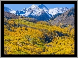 Stany Zjednoczone, Kolorado, Góry, Capitol Peak, Las, Drzewa, Jesień