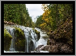 Stany Zjednoczone, Waszyngton, Rzeka, Lewis River, Skały, Kamienie, Las, Drzewa