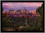 Stany Zjednoczone, Arizona, Sedona, Góry, Wilson Mountains, Skały, Drzewa