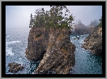 Stany Zjednoczone, Oregon, Morze, Skały, Drzewa, Wysepka, Mgła, Park stanowy, Samuel H Boardman State Scenic Corridor