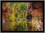 Stany Zjednoczone, Arizona, Sedona, Wąwóz, Oak Creek Canyon, Rzeka Oak Creek, Skały, Drzewa