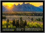 Stany Zjednoczone, Wyoming, Park Narodowy Grand Teton, Promienie słońca, Góry, Drzewa