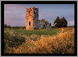 Wielka Brytania, Anglia, Wimborne, Kościół, Knowlton Church, Ruiny, Drzewa, Trawa, Zachód Słońca