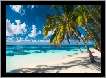 Morze, Palmy, Plaża, Tropiki