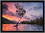 Walia, Jezioro, Llyn Padarn, Snowdonia, Góry, Drzewo, Zachód słońca, Chmury