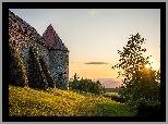 Zamek Piberstein, Austria, Wieża, Mury, Drzewa