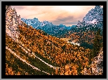 Góry, Dolomity, Cadini di Misurina, Drzewa, Dolina, Włochy