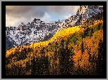 Góry, San Juan Mountains, Lasy, Drzewa, Jesień, Kolorado, Stany Zjednoczone