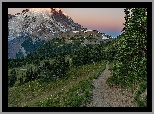 Wschód słońca, Góry, Śnieg, Droga, Drzewa, Stratowulkan, Mount Rainier, Park Narodowy Mount Rainier, Stan Waszyngton, Stany Zjednoczone